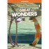 Great Wonders 1 Workbook